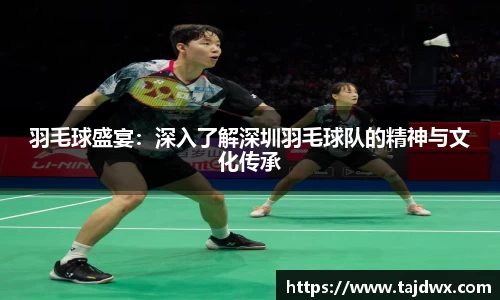羽毛球盛宴：深入了解深圳羽毛球队的精神与文化传承